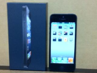 iPhone5B
